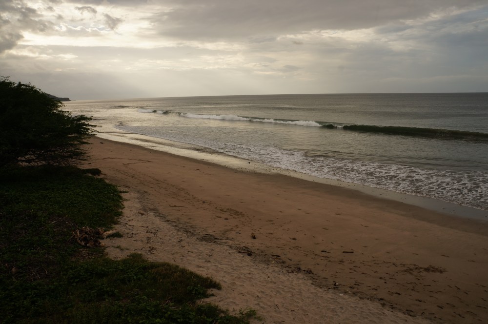 nica-december-001