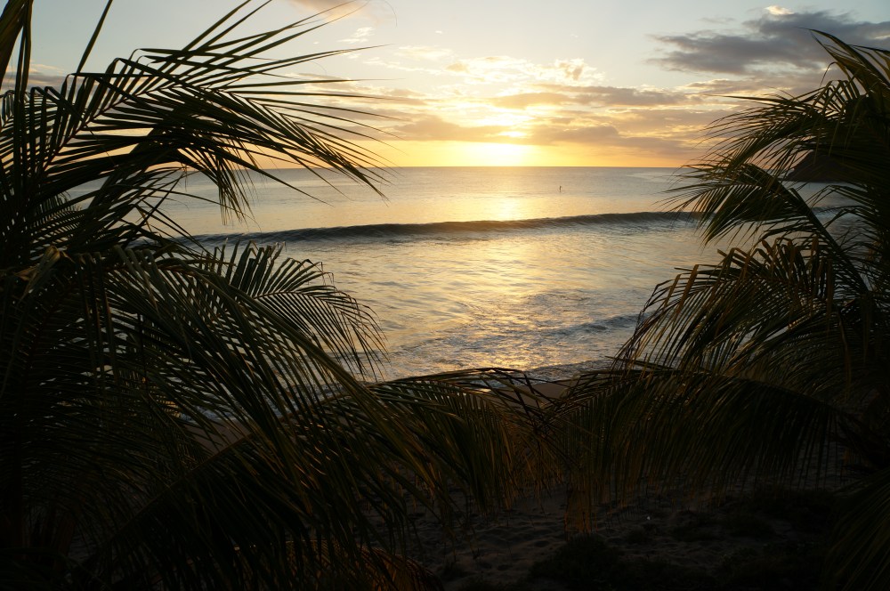 nica-december-086