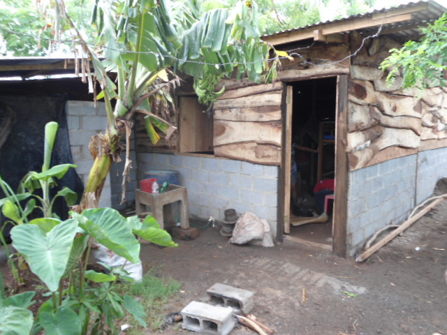 finished-leg-house